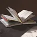 vincent van gogh notebook